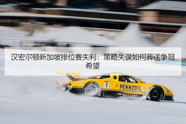 han-mi-er-dun-xin-jia-po-pai-wei-sai-shi-li-ce-lve-shi-wu-ru-he-zang-song-zheng-guan-xi-wang-2-764.jpg
